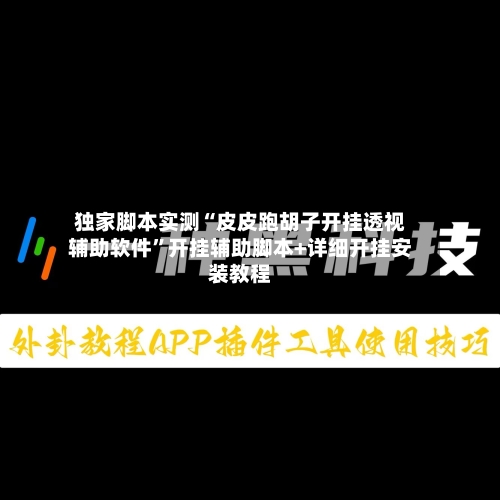 独家脚本实测“皮皮跑胡子开挂透视辅助软件”开挂辅助脚本+详细开挂安装教程-第3张图片
