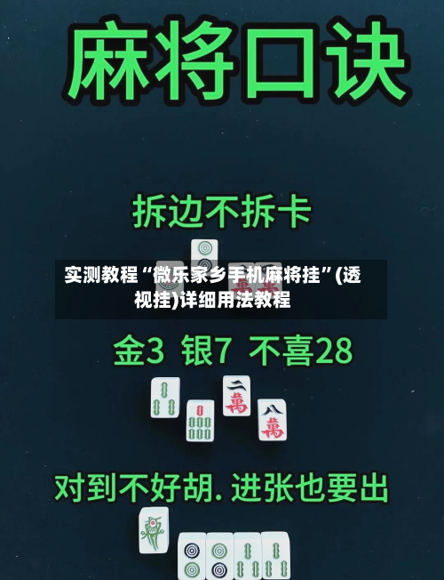 实测教程“微乐家乡手机麻将挂”(透视挂)详细用法教程-第3张图片