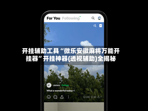 开挂辅助工具“微乐安徽麻将万能开挂器”开挂神器{透视辅助}全揭秘-第3张图片