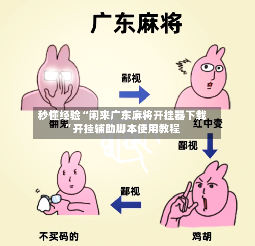 秒懂经验“闲来广东麻将开挂器下载”开挂辅助脚本使用教程-第1张图片