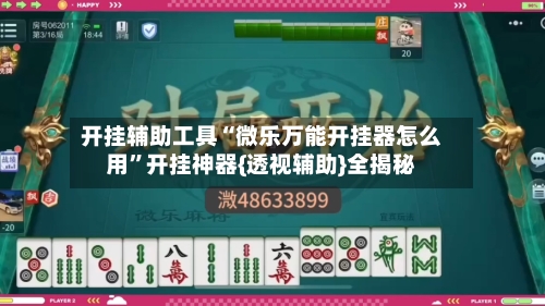 开挂辅助工具“微乐万能开挂器怎么用”开挂神器{透视辅助}全揭秘-第1张图片