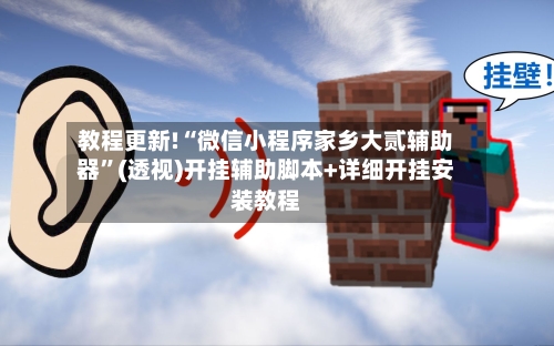 教程更新!“微信小程序家乡大贰辅助器	”(透视)开挂辅助脚本+详细开挂安装教程-第3张图片