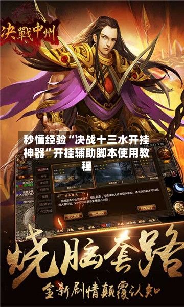 秒懂经验“决战十三水开挂神器	”开挂辅助脚本使用教程-第2张图片
