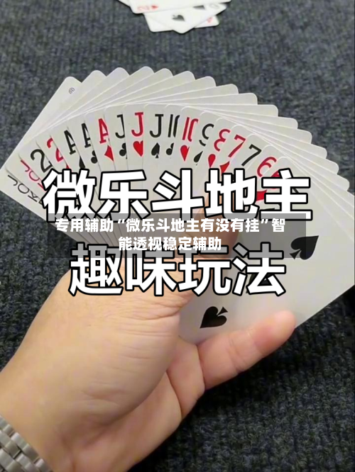 专用辅助“微乐斗地主有没有挂”智能透视稳定辅助-第3张图片