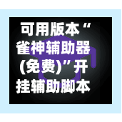 可用版本“雀神辅助器(免费)	”开挂辅助脚本使用教程-第2张图片