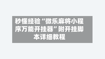 秒懂经验“微乐麻将小程序万能开挂器”附开挂脚本详细教程-第1张图片
