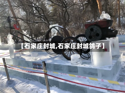 【石家庄封城,石家庄封城鸽子】-第1张图片