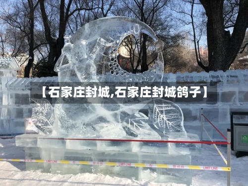 【石家庄封城,石家庄封城鸽子】-第2张图片