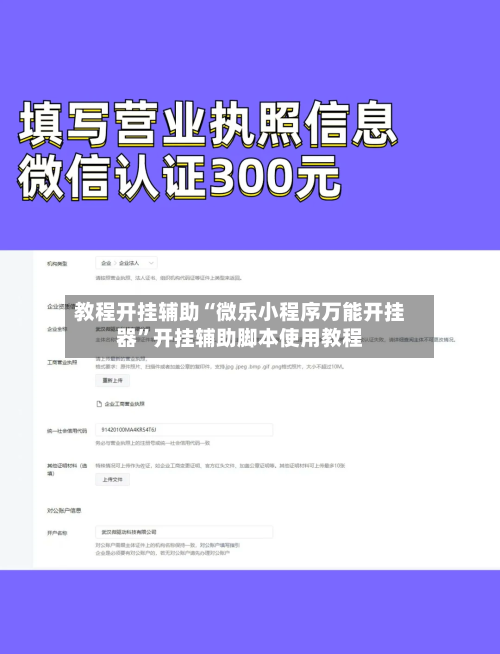 教程开挂辅助“微乐小程序万能开挂器”开挂辅助脚本使用教程-第2张图片