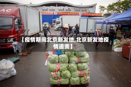【疫情期间北京新发地,北京新发地疫情追责】-第1张图片