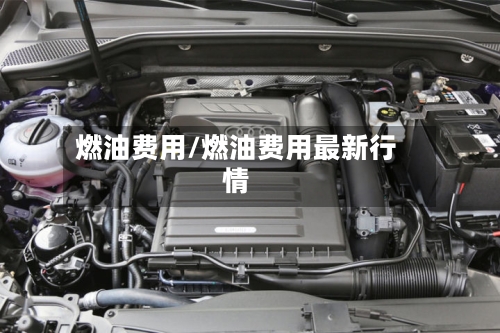 燃油费用/燃油费用最新行情-第3张图片