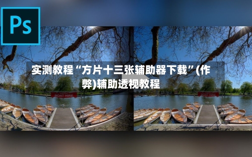 实测教程“方片十三张辅助器下载”(作弊)辅助透视教程-第1张图片