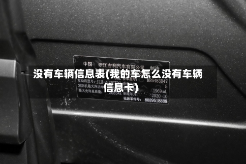 没有车辆信息表(我的车怎么没有车辆信息卡)-第3张图片