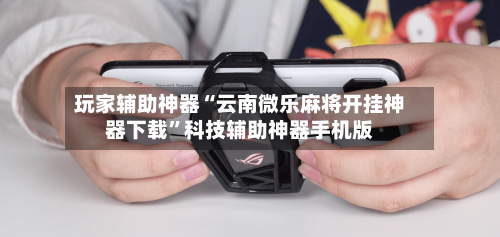玩家辅助神器“云南微乐麻将开挂神器下载”科技辅助神器手机版-第3张图片
