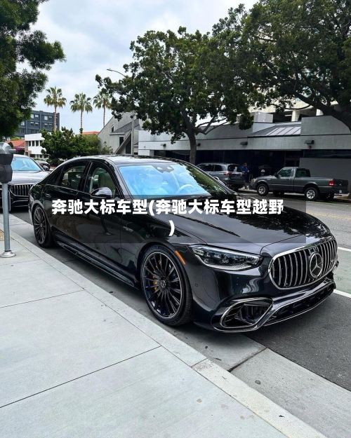 奔驰大标车型(奔驰大标车型越野)-第1张图片