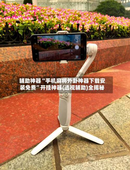 辅助神器“手机麻将外卦神器下载安装免费”开挂神器{透视辅助}全揭秘-第3张图片
