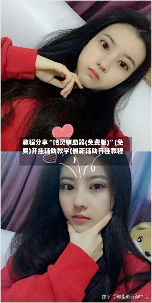 教程分享“哈灵辅助器(免费版)”(免费)开挂辅助教学(最新辅助开挂教程)-第2张图片