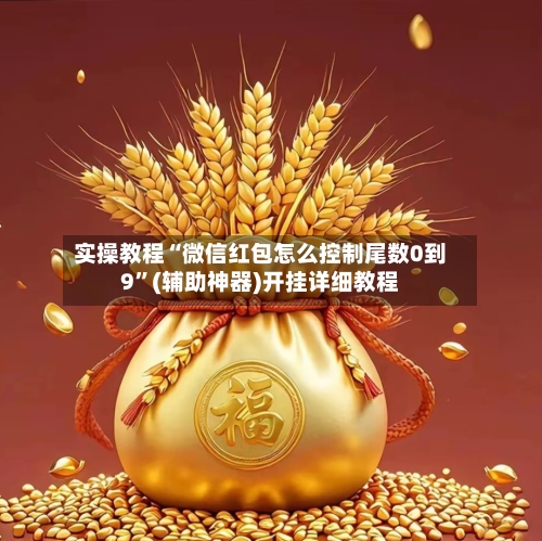 实操教程“微信红包怎么控制尾数0到9”(辅助神器)开挂详细教程-第1张图片