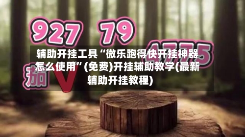 辅助开挂工具“微乐跑得快开挂神器怎么使用	”(免费)开挂辅助教学(最新辅助开挂教程)-第1张图片