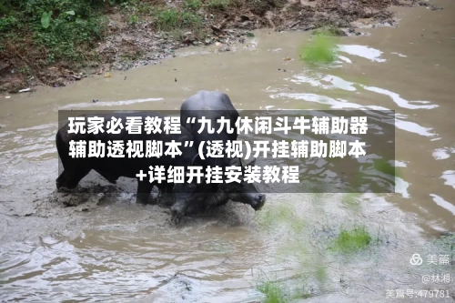 玩家必看教程“九九休闲斗牛辅助器辅助透视脚本	”(透视)开挂辅助脚本+详细开挂安装教程-第2张图片