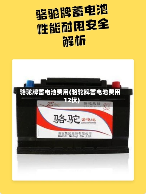 骆驼牌蓄电池费用(骆驼牌蓄电池费用12伏)-第3张图片