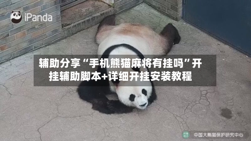 辅助分享“手机熊猫麻将有挂吗”开挂辅助脚本+详细开挂安装教程-第2张图片
