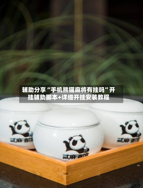 辅助分享“手机熊猫麻将有挂吗”开挂辅助脚本+详细开挂安装教程-第3张图片