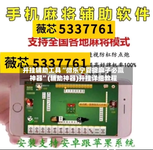 开挂辅助工具“微乐宁夏捉麻子必赢神器”(辅助神器)开挂详细教程-第2张图片
