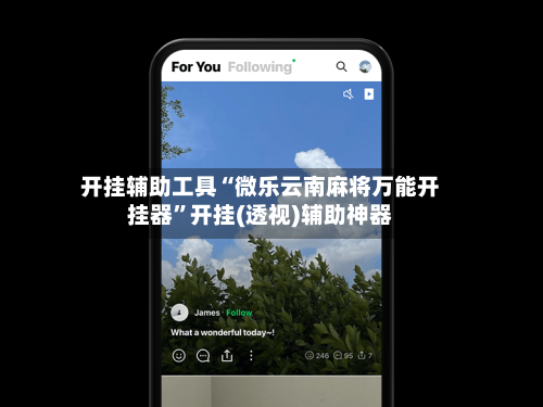 开挂辅助工具“微乐云南麻将万能开挂器”开挂(透视)辅助神器-第2张图片