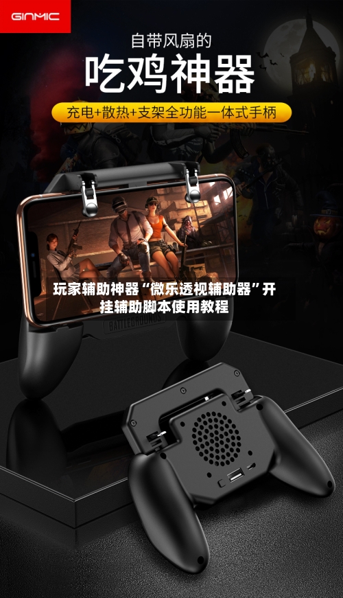 玩家辅助神器“微乐透视辅助器”开挂辅助脚本使用教程-第3张图片