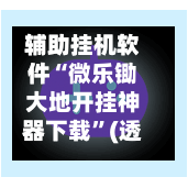 辅助挂机软件“微乐锄大地开挂神器下载”(透视)开挂辅助脚本+详细开挂安装教程-第3张图片