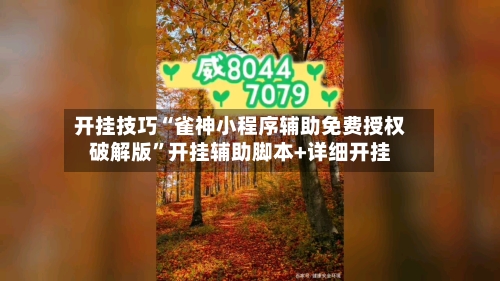 开挂技巧“雀神小程序辅助免费授权破解版	”开挂辅助脚本+详细开挂-第2张图片