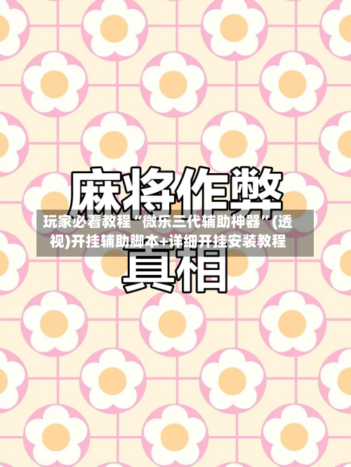 玩家必看教程“微乐三代辅助神器”(透视)开挂辅助脚本+详细开挂安装教程-第2张图片