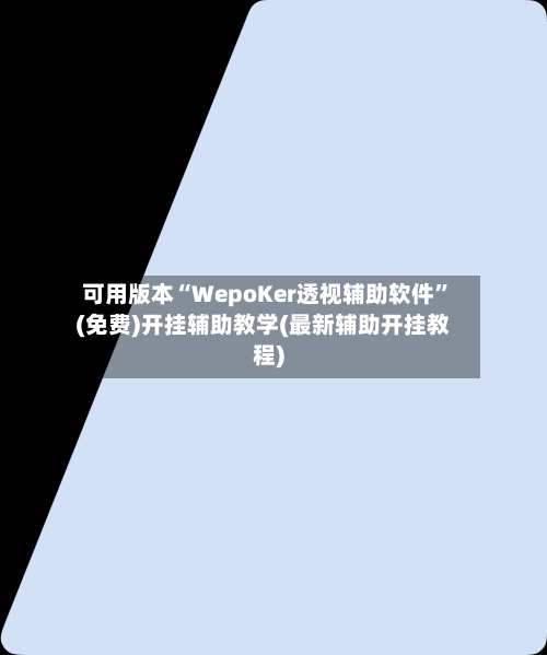 可用版本“WepoKer透视辅助软件”(免费)开挂辅助教学(最新辅助开挂教程)-第1张图片