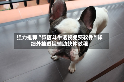 强力推荐“微信斗牛透视免费软件”详细外挂透视辅助软件教程-第3张图片