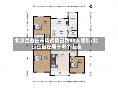 北京岳各庄市场疫情已致50人感染/北京岳各庄属于哪个街道-第3张图片