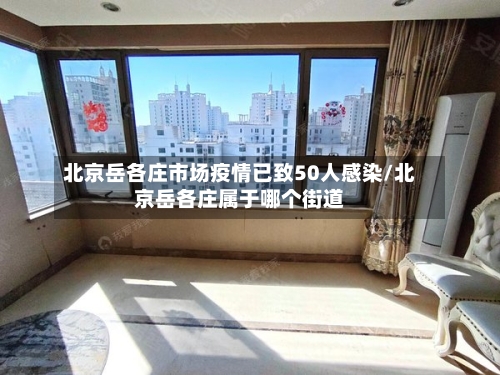 北京岳各庄市场疫情已致50人感染/北京岳各庄属于哪个街道-第1张图片