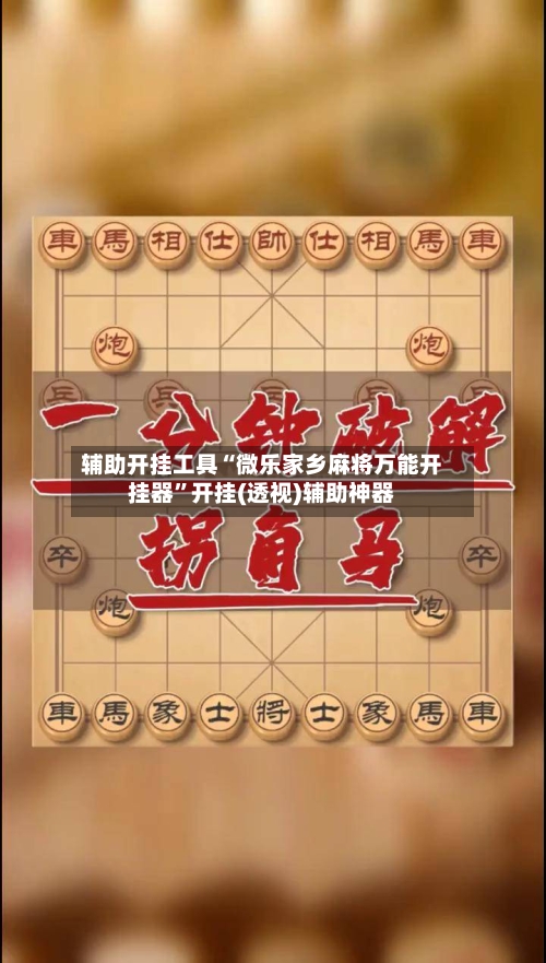 辅助开挂工具“微乐家乡麻将万能开挂器”开挂(透视)辅助神器-第3张图片