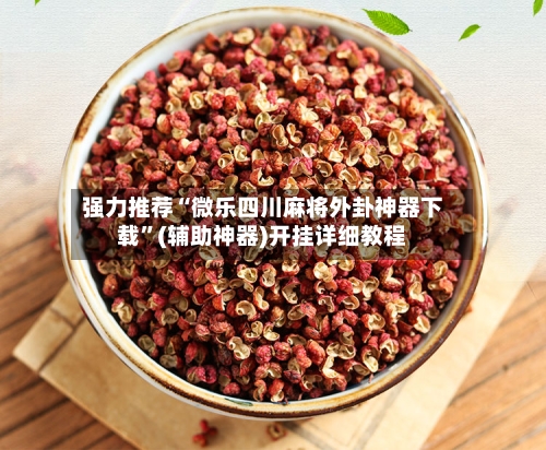 强力推荐“微乐四川麻将外卦神器下载”(辅助神器)开挂详细教程-第1张图片