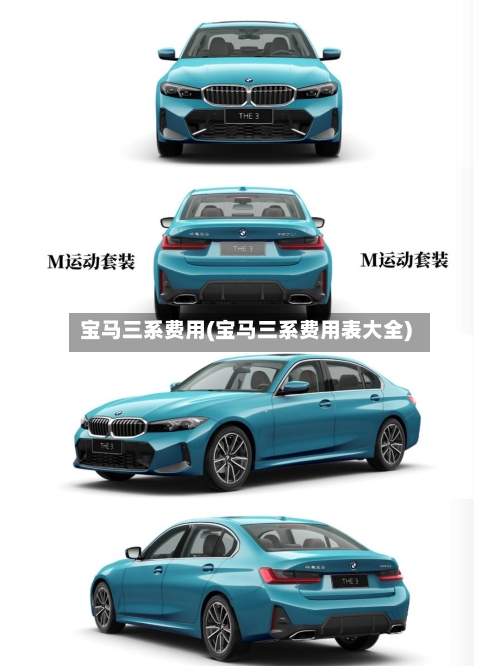 宝马三系费用(宝马三系费用表大全)-第1张图片