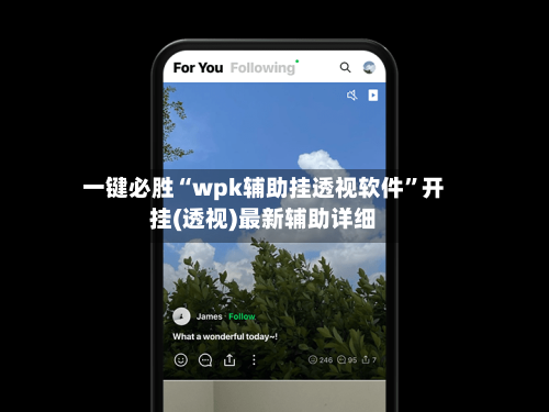一键必胜“wpk辅助挂透视软件”开挂(透视)最新辅助详细-第3张图片