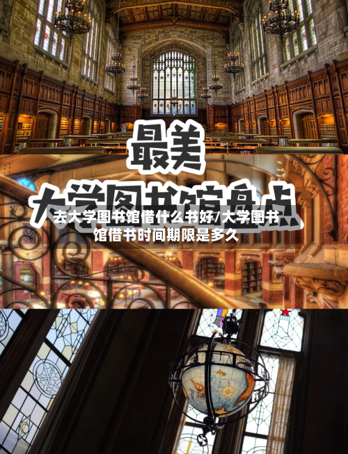 去大学图书馆借什么书好/大学图书馆借书时间期限是多久-第1张图片