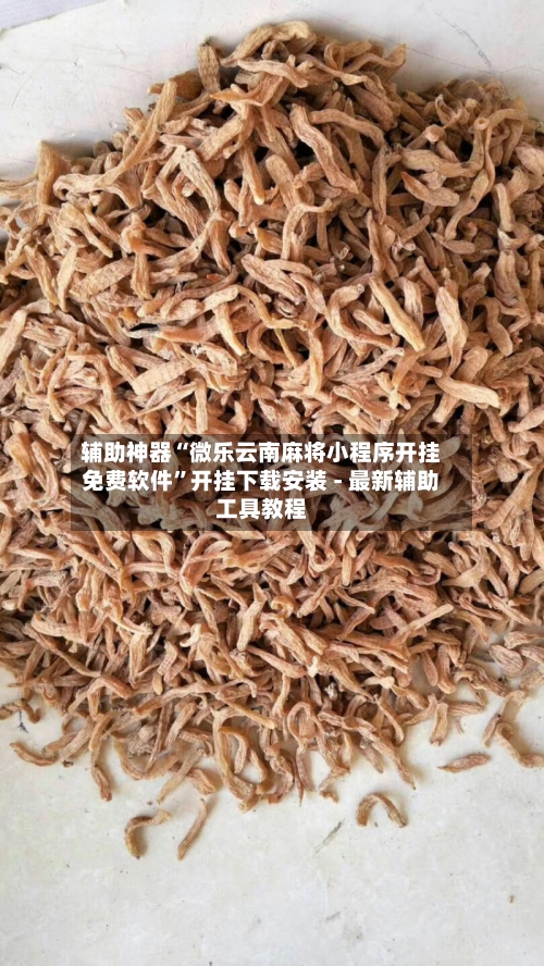 辅助神器“微乐云南麻将小程序开挂免费软件”开挂下载安装 - 最新辅助工具教程-第1张图片