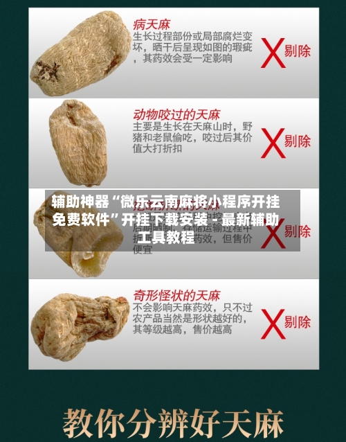 辅助神器“微乐云南麻将小程序开挂免费软件	”开挂下载安装 - 最新辅助工具教程-第2张图片
