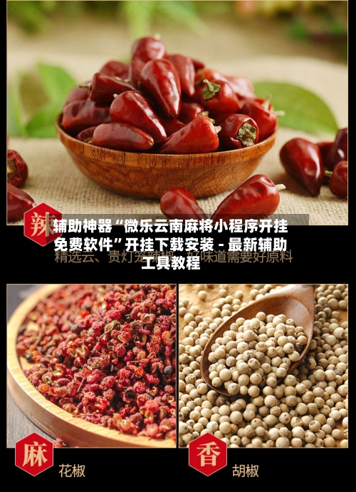 辅助神器“微乐云南麻将小程序开挂免费软件”开挂下载安装 - 最新辅助工具教程-第3张图片