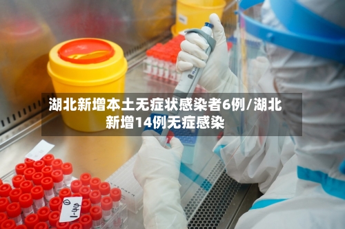 湖北新增本土无症状感染者6例/湖北新增14例无症感染-第2张图片