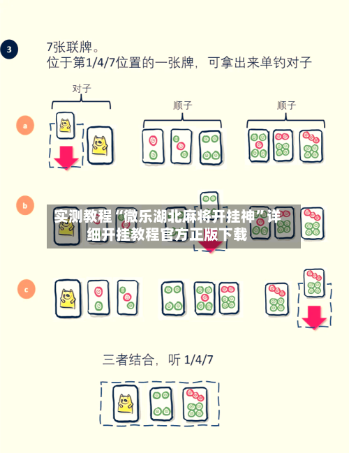 实测教程“微乐湖北麻将开挂神”详细开挂教程官方正版下载-第3张图片
