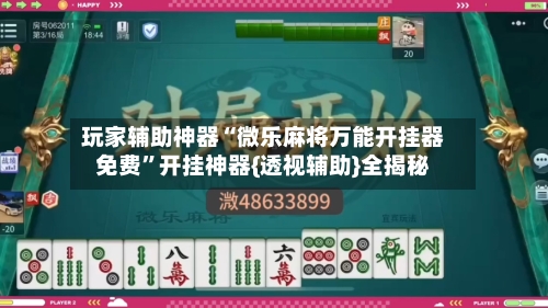 玩家辅助神器“微乐麻将万能开挂器免费”开挂神器{透视辅助}全揭秘-第2张图片