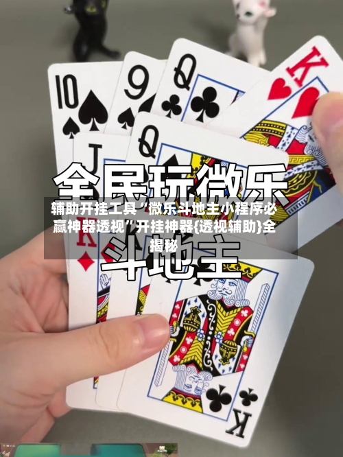 辅助开挂工具“微乐斗地主小程序必赢神器透视	”开挂神器{透视辅助}全揭秘-第2张图片