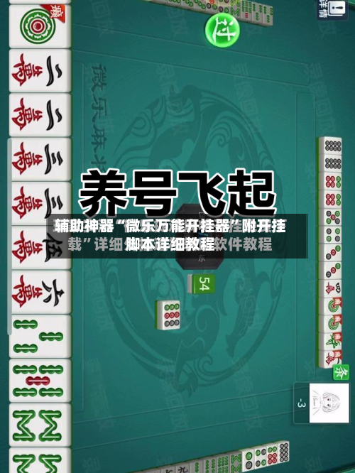 辅助神器“微乐万能开挂器”附开挂脚本详细教程-第2张图片